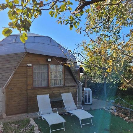 בקתת עץ בחורש במנות - דום גיאודזי - Wooden Cabin In Manot Ngoại thất bức ảnh