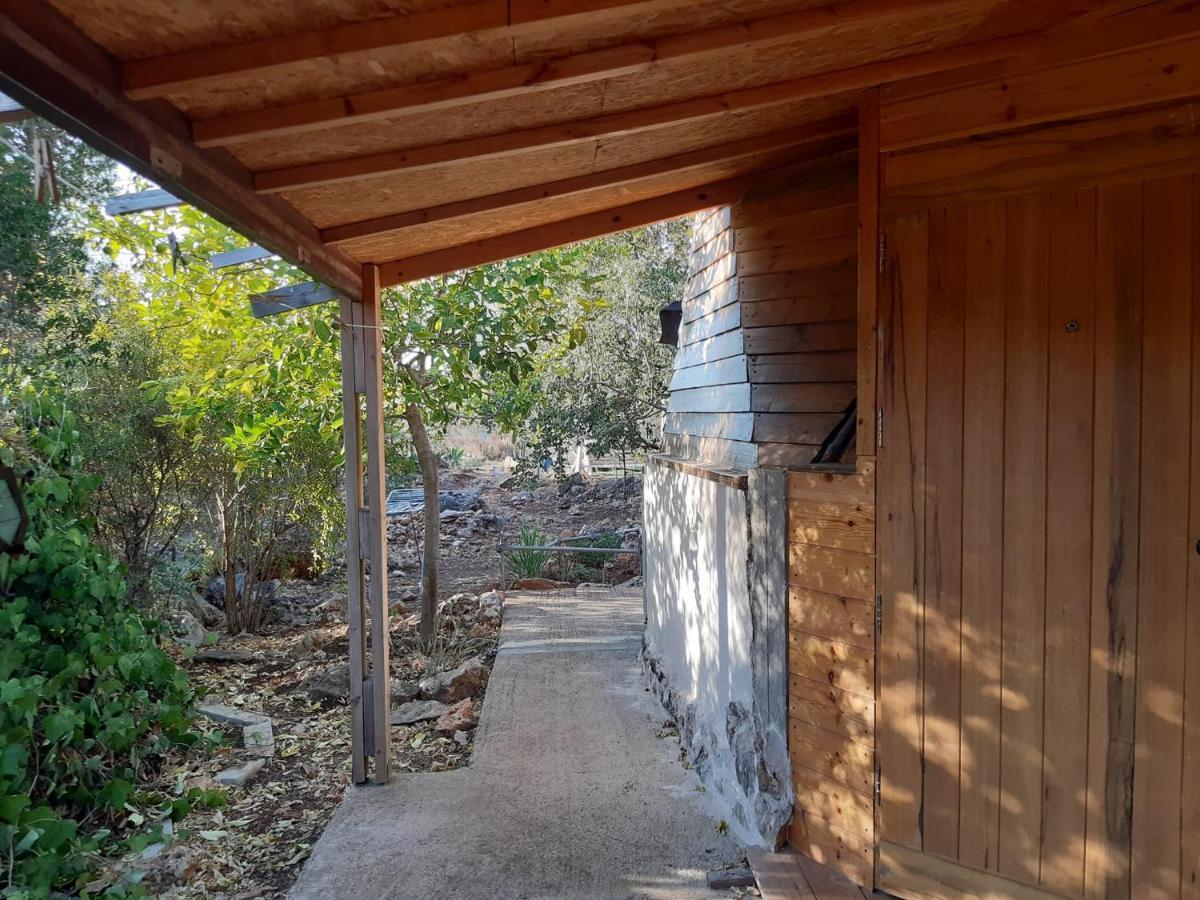 בקתת עץ בחורש במנות - דום גיאודזי - Wooden Cabin In Manot Ngoại thất bức ảnh