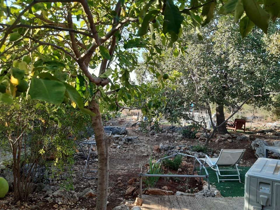 בקתת עץ בחורש במנות - דום גיאודזי - Wooden Cabin In Manot Ngoại thất bức ảnh